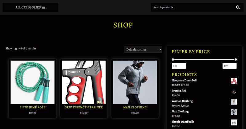 Best WordPress Fitness and Gym Theme
