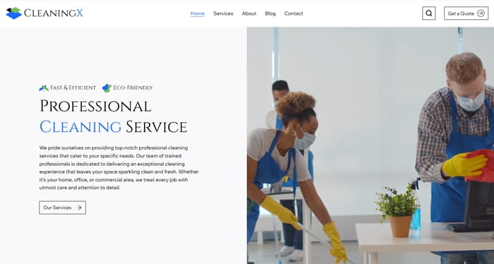 Cleaning Service